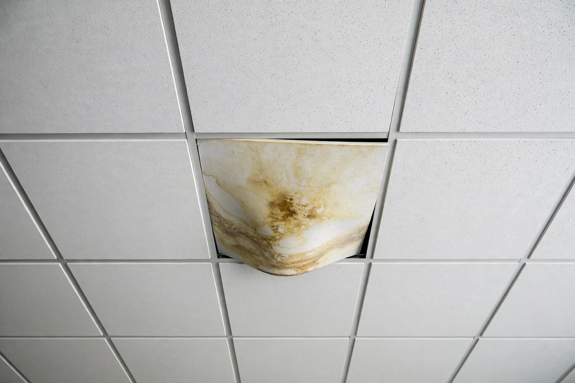 Water-stained sagging mineral fibre tile among clean tiles in a grid ceiling